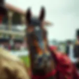 Historic horse racing event showcasing traditional attire