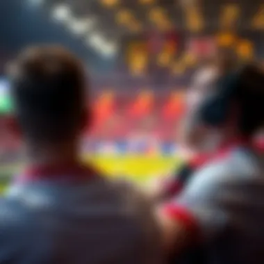 Diverse viewing options for sports fans