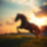 Majestic horse galloping in the sunset