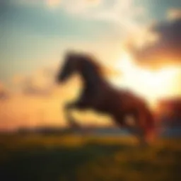 Majestic horse galloping in the sunset