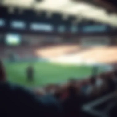 Legal Aspects of Sports Betting Infographic on the legal aspects of sports betting