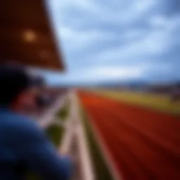 Race track overview capturing the excitement of horse racing