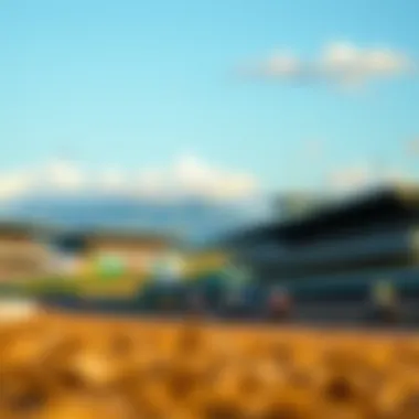Unique Track Characteristics A scenic view of the racetrack highlighting the unique track characteristics