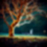 Conceptual illustration of tree lottery principles