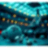 Understanding probability in lotto and sports betting