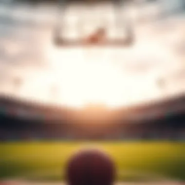 Optimal Betting Techniques for Gamblers Betting strategies for basketball matches